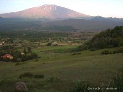 Clicca per ingrandire l'immagine