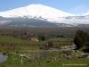 L_etna-da-Fontanamurata.jpg