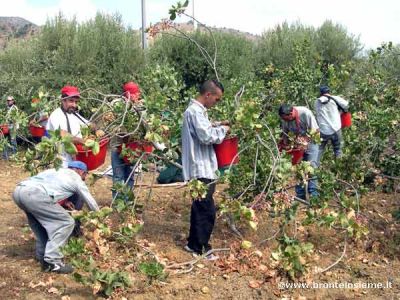 Clicca per ingrandire l'immagine