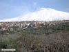 L_etna,-Bronte,-il-psitacch.jpg